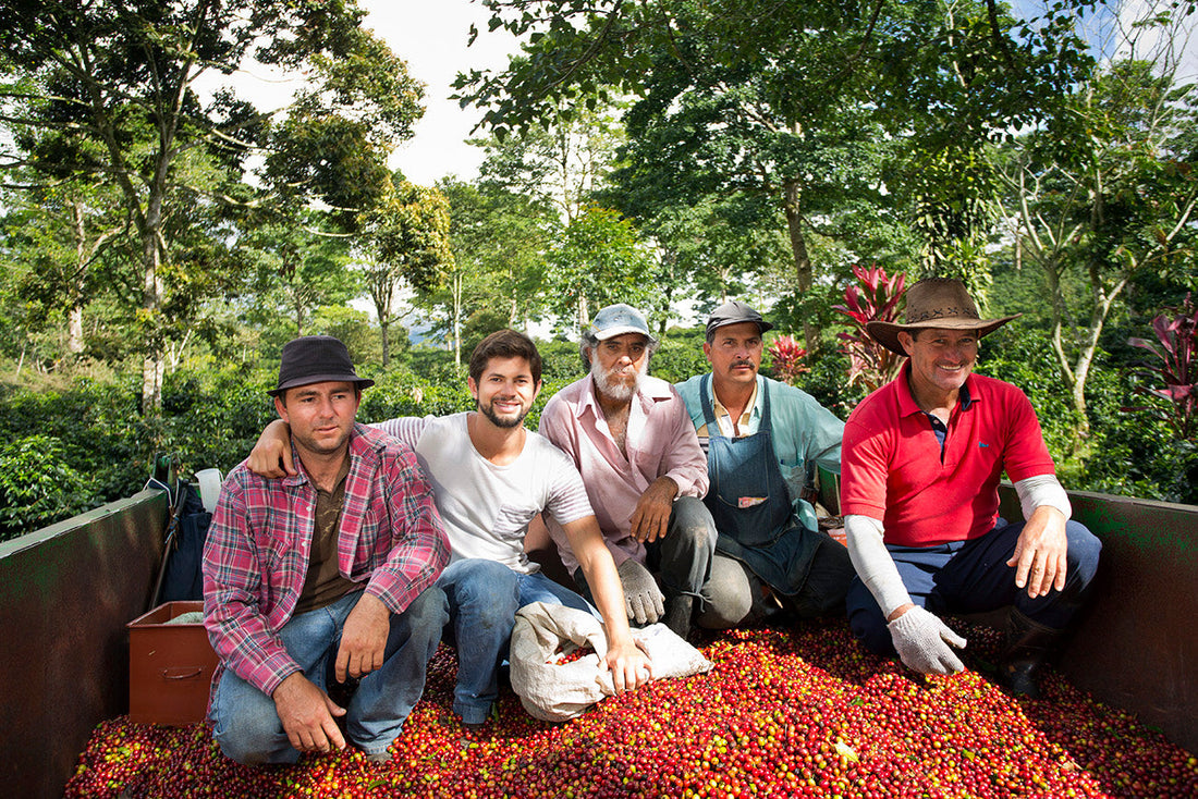 Meet Aquia: A Costa Rican Coffee with a Story to Tell